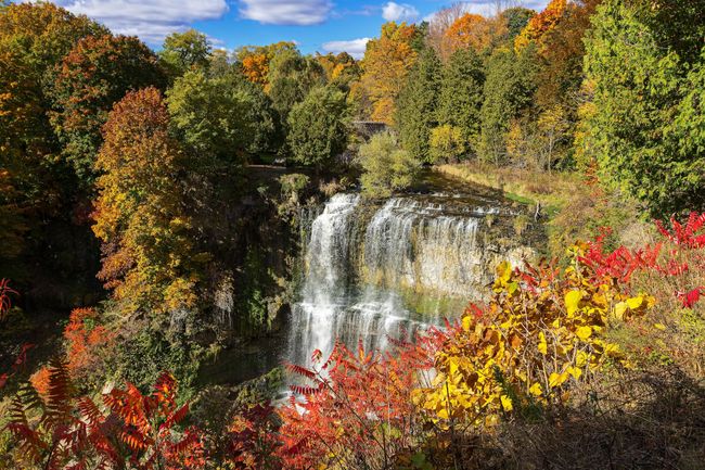 ontario fall forecast