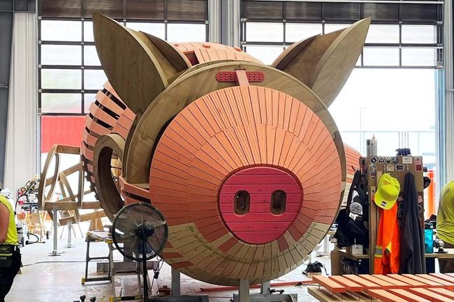 pig structure