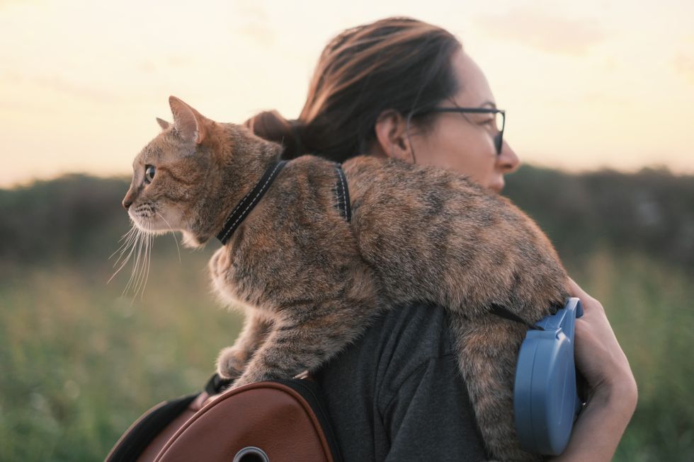 Ginger cat sitting on shoulder of young woman on walk on nature in summer. Ginger cat sitting on shoulder of young woman on walk on nature in summer.