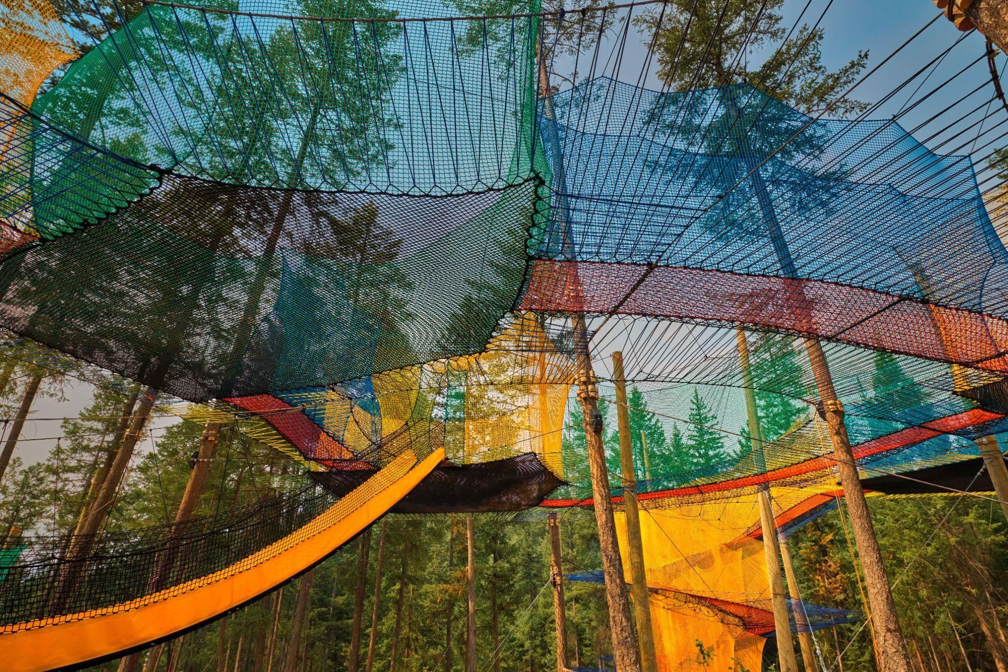 A new suspended forest canopy experience just opened at this iconic B.C. destination A new suspended forest canopy experience just opened at this iconic B.C. destination