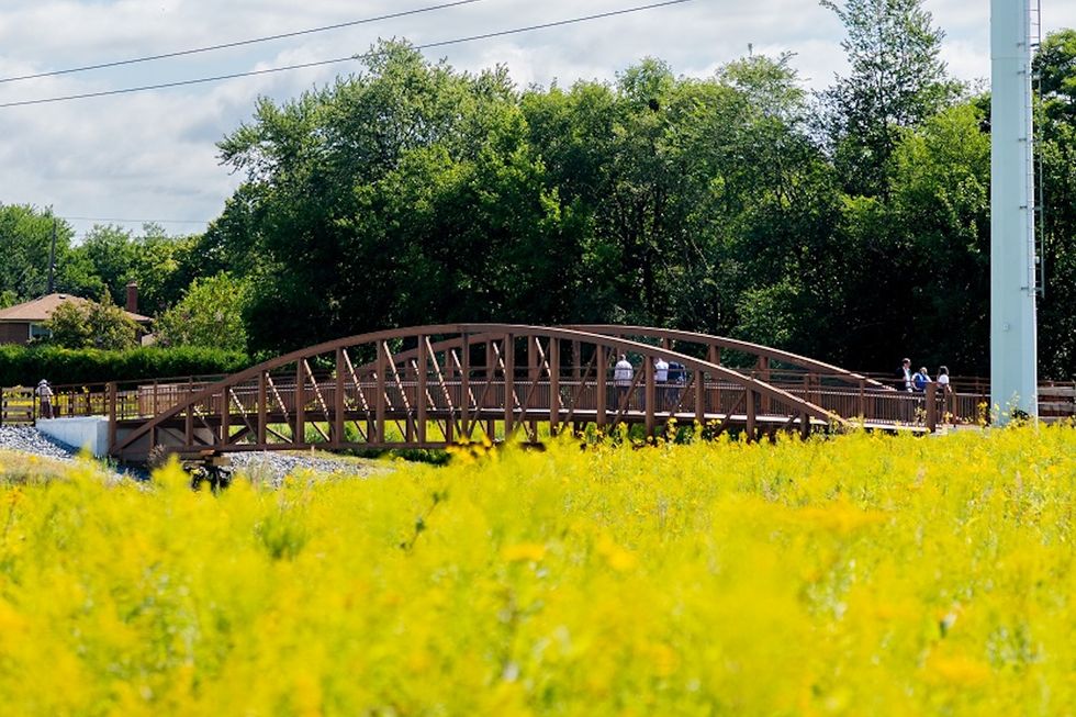 meadoway bridge trail