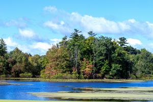 ontario september forecast