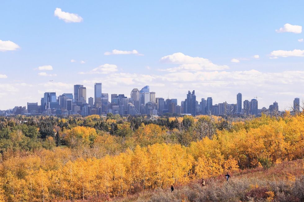 Calgary skyline as seen from Edworthy Park on a clear Autumnal day