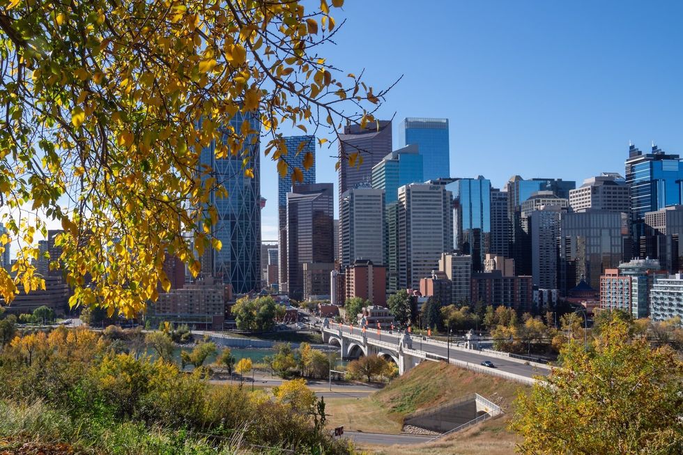 A panoramic view of the downtown Calgary skyline and the Centre Street Bridge framed by yellow autumn leaves on a sunny fall day from Rotary Park in Calgary, Alberta, Canada.