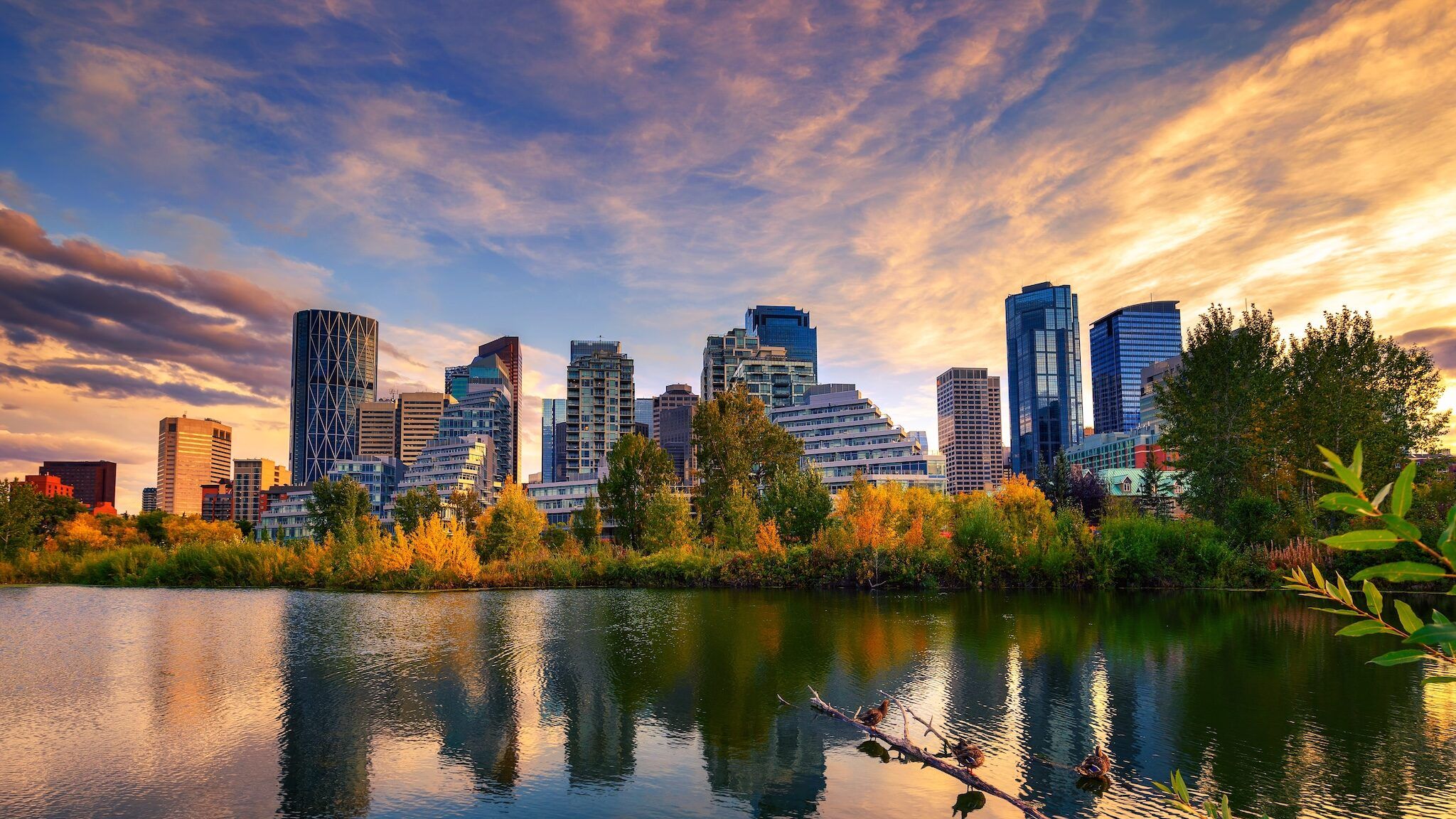10 awesome things to do in and around Calgary this week (Sept. 14 to 18) 10 awesome things to do in and around Calgary this week (Sept. 14 to 18)