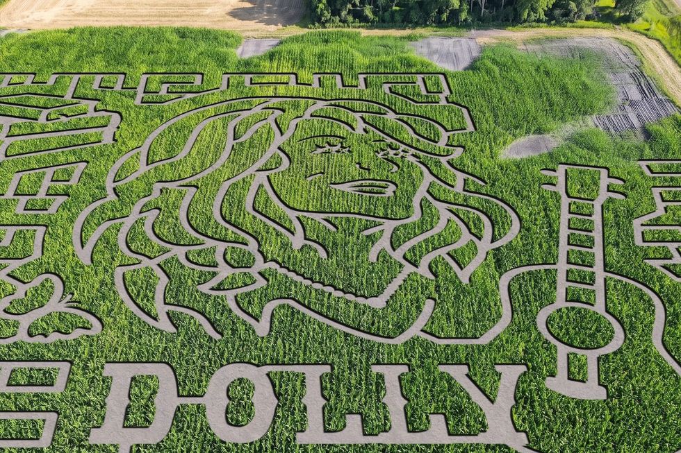 Dolly Parton Corn Maze Dolly Parton-themed corn maze in Alberta