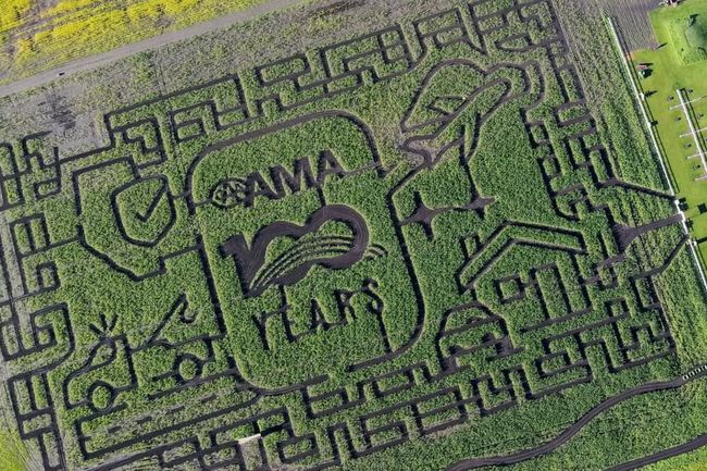 Edmonton Corn Maze