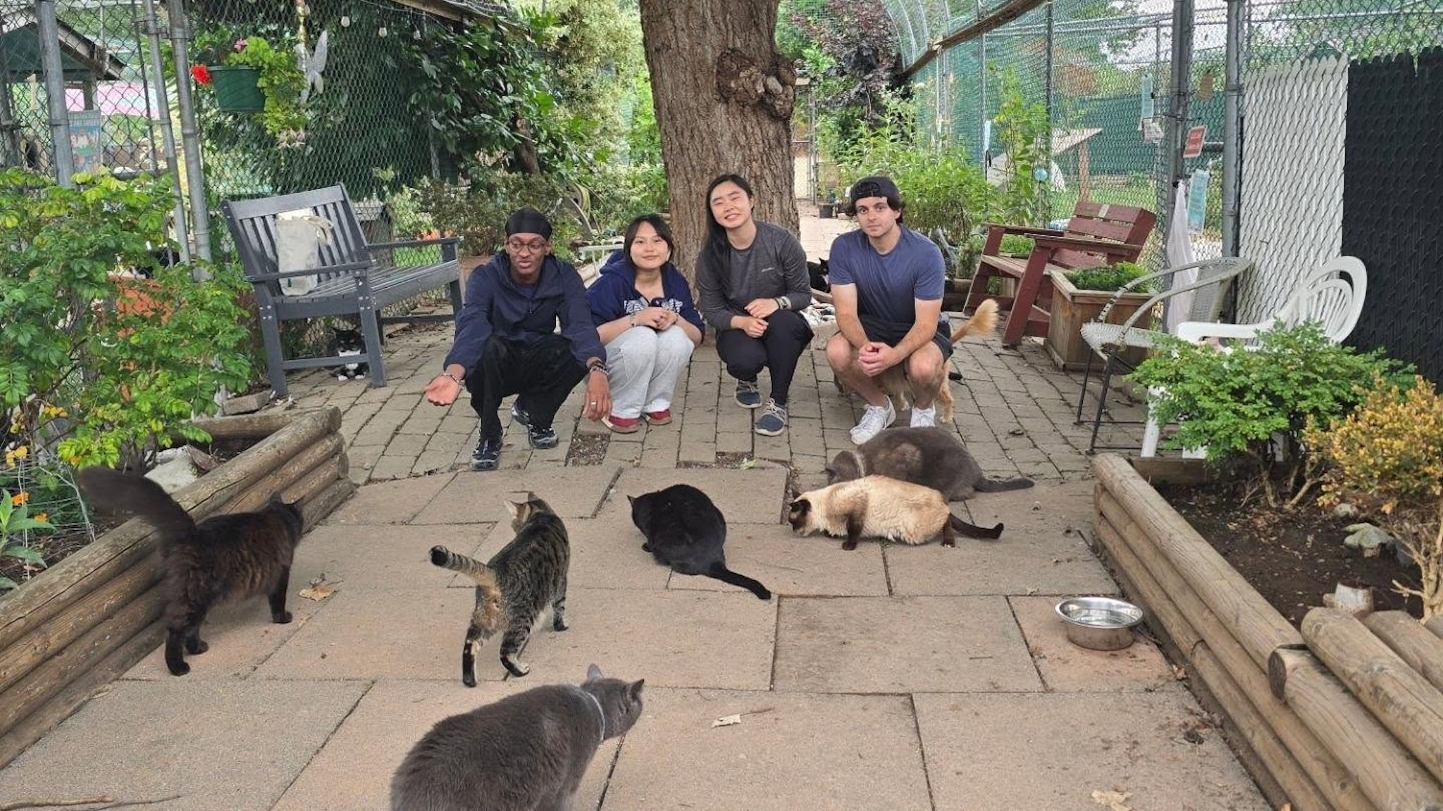 You can visit hundreds of roaming cats at Canada’s largest cat sanctuary in Metro Vancouver You can visit hundreds of roaming cats at Canada’s largest cat sanctuary in Metro Vancouver