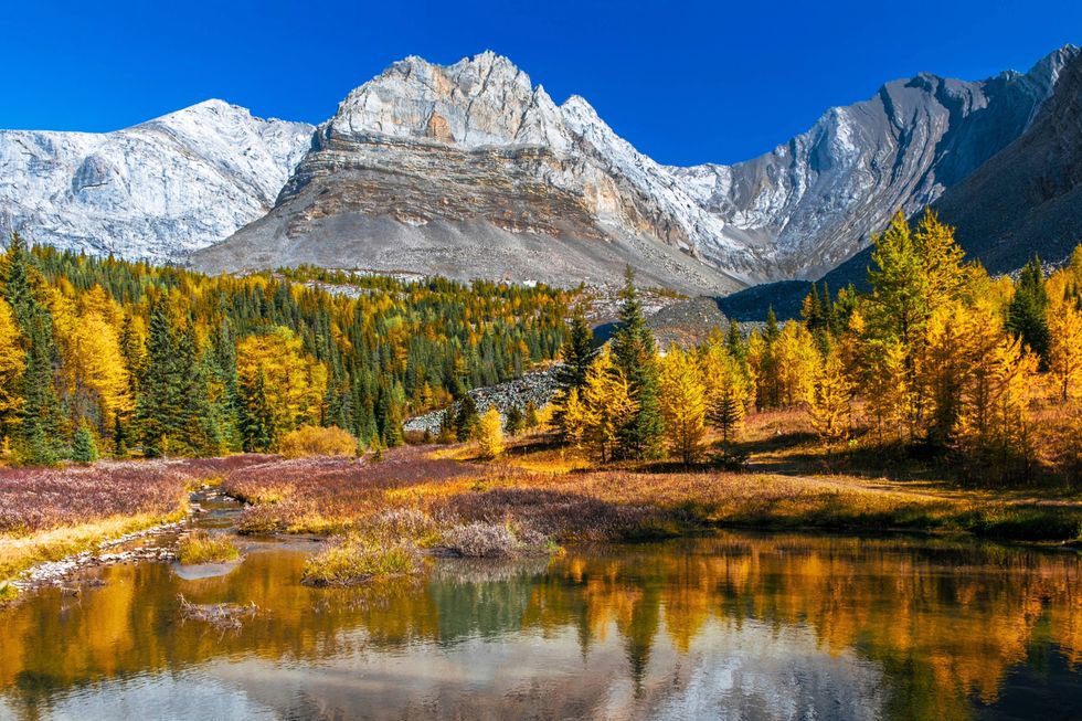 kananaskis alberta kananaskis alberta