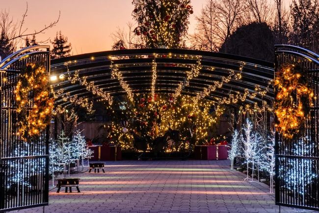 holiday market