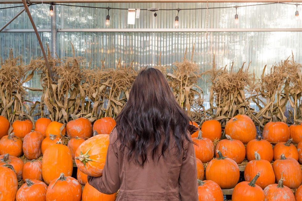Young brunette woman standing in front of a selection of pumpkins.
