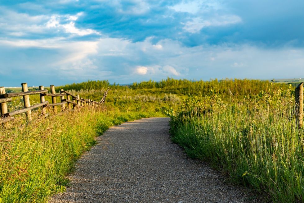 Dirt hiking path through grassland in Glenbow Ranch Provincial Park, Alberta, Canada