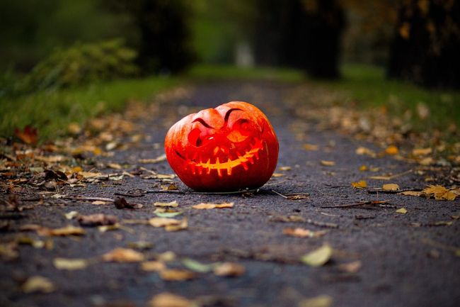 Carved Halloween Pumpkin Park Path
