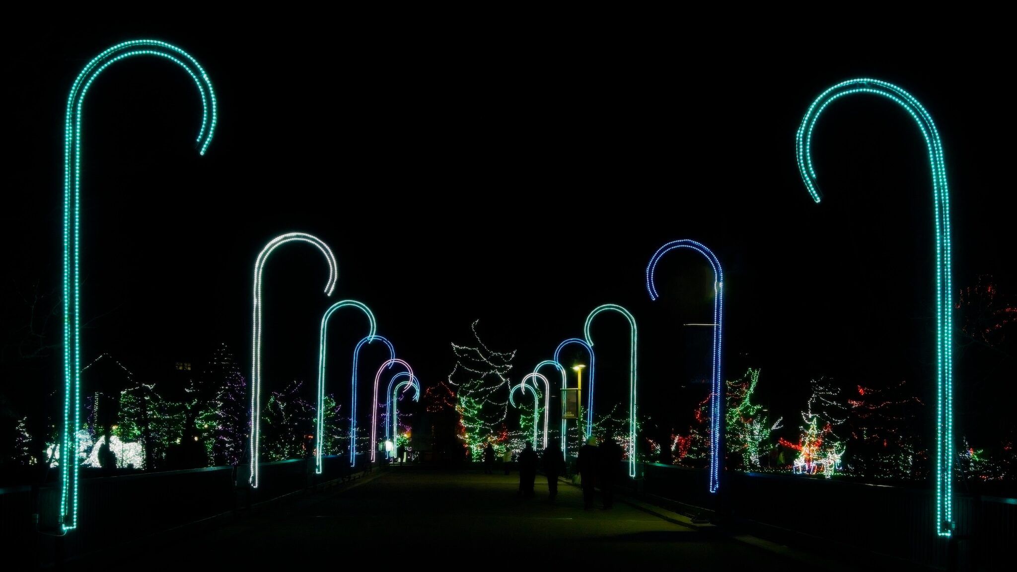 Calgary ZOOLIGHTS 2026: Dates, tickets and what to know
