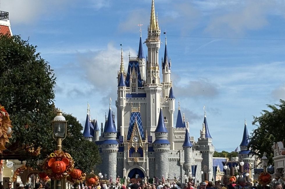 disney world disney world
