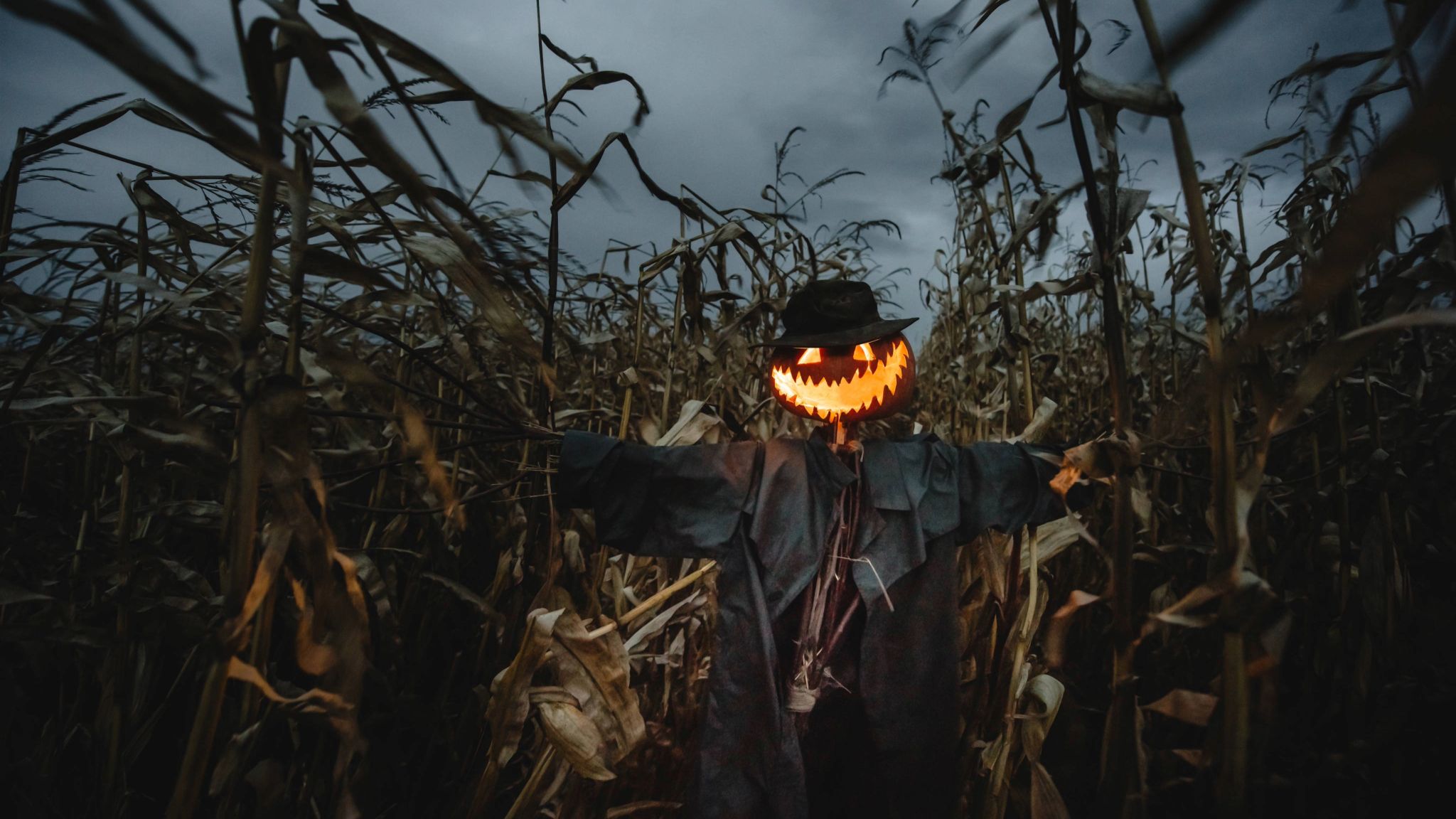 A thrilling scare event is taking over this corn maze near Edmonton