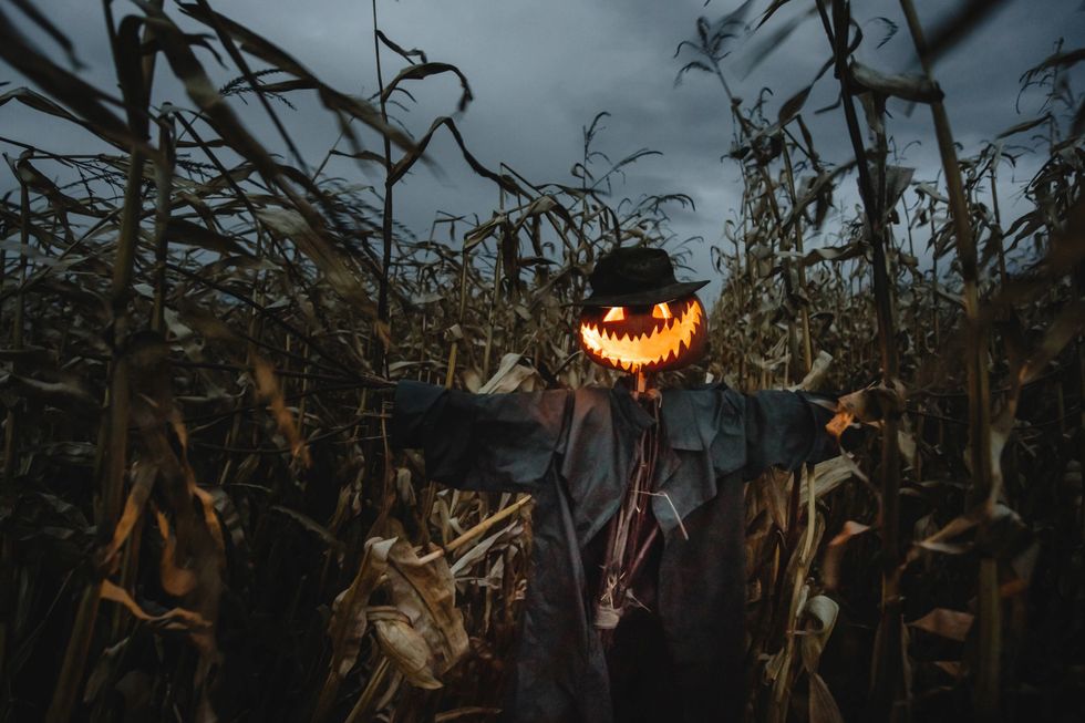 field of screams edmonton field of screams edmonton