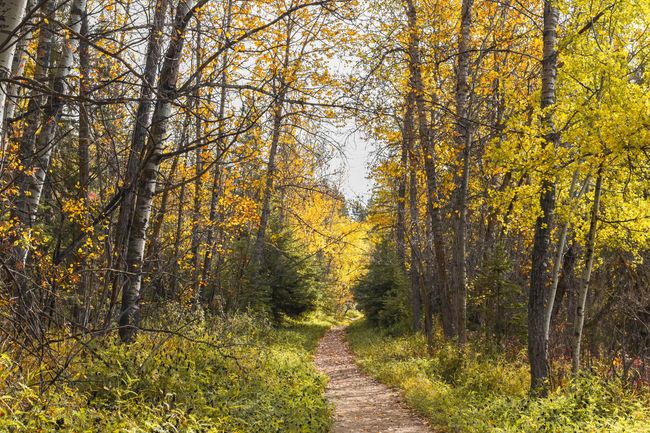 Gaetz Lakes Sanctuary, Red Deer, Alberta