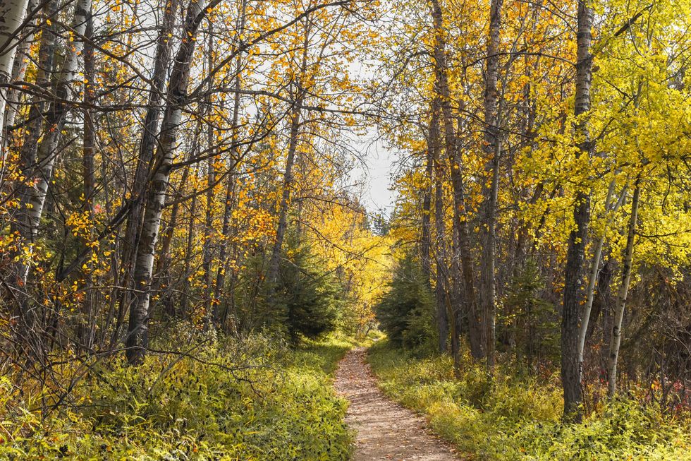 Gaetz Lakes Sanctuary, Red Deer, Alberta