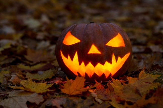 pumpkin walk drayton valley